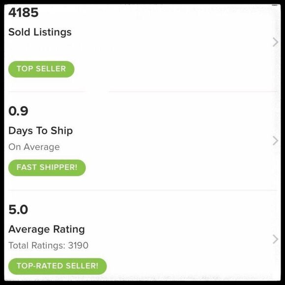 ARABIA Ruska Finland Stoneware Platter - Picture 11 of 11